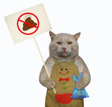 Önlükteki kedi kakasını temizledi