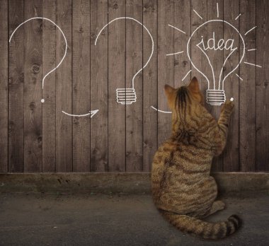 Kedi çit üzerinde fikir ile ampul çizer
