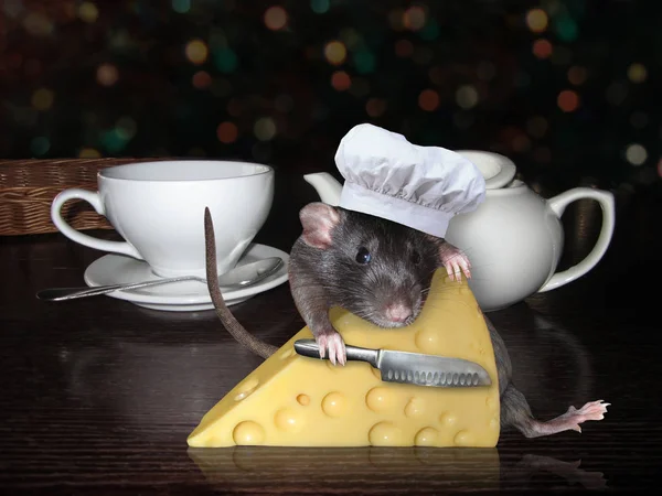 Rato em chapéu com queijo 2 — Fotografia de Stock