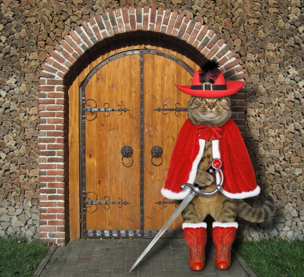 Katt i röd kappa vid Gate of Castle — Stockfoto