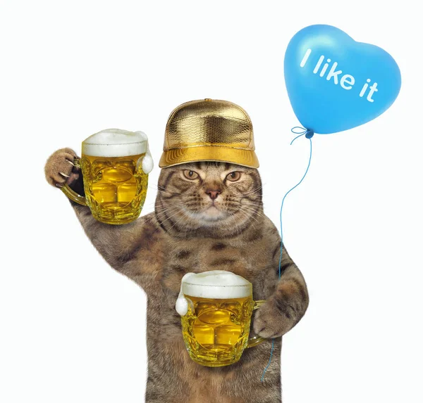 Gato em boné dourado detém duas cervejas — Fotografia de Stock