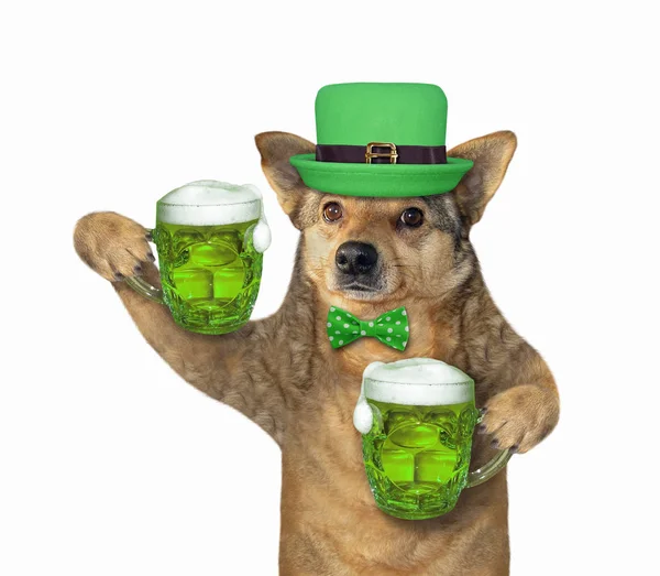 Cão de chapéu verde segura duas cervejas — Fotografia de Stock