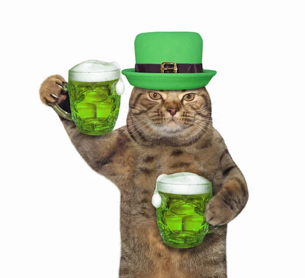 Kot w zielonym kapeluszu trzyma dwa piwa — Zdjęcie stockowe