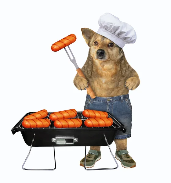 Dog cooks grill sausages — Stock Photo, Image