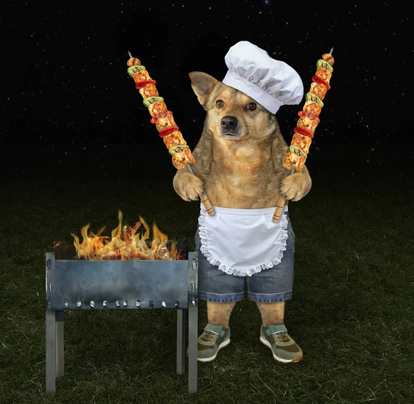 Gotowanie psa grillowanego mięsa — Zdjęcie stockowe
