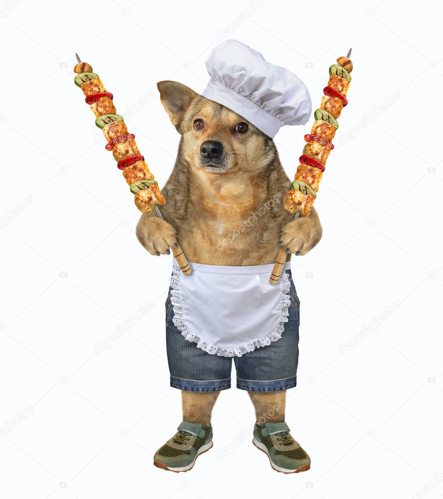 Dog with grilled meat on skewers