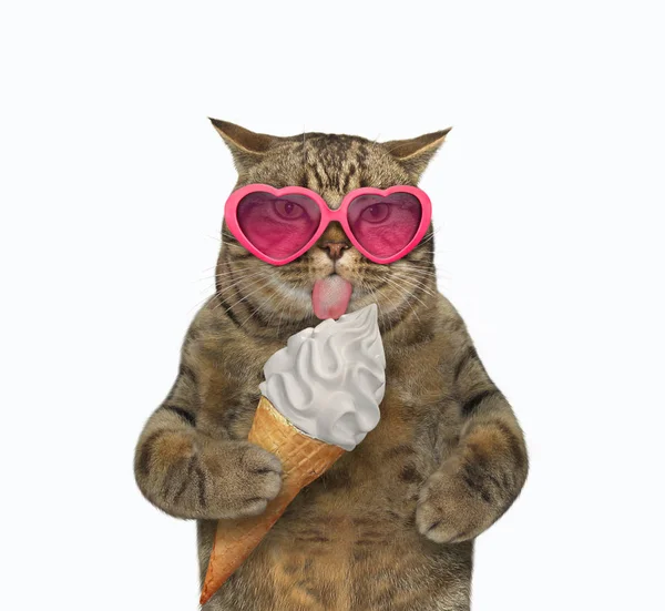 Katze mit Sonnenbrille leckt Eis — Stockfoto