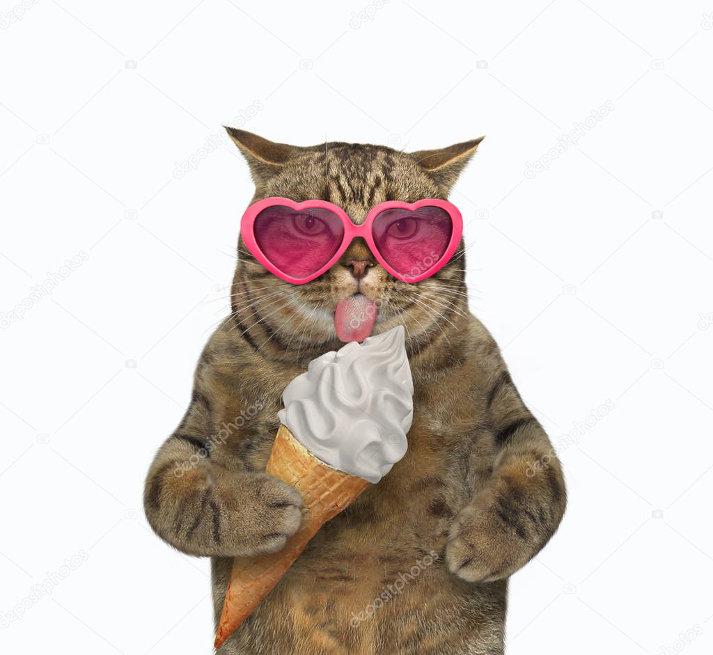 Cat in sunglasses licking ice cream