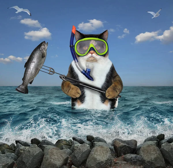 Cat underwater hunter caught fish 2 — Stock Photo, Image