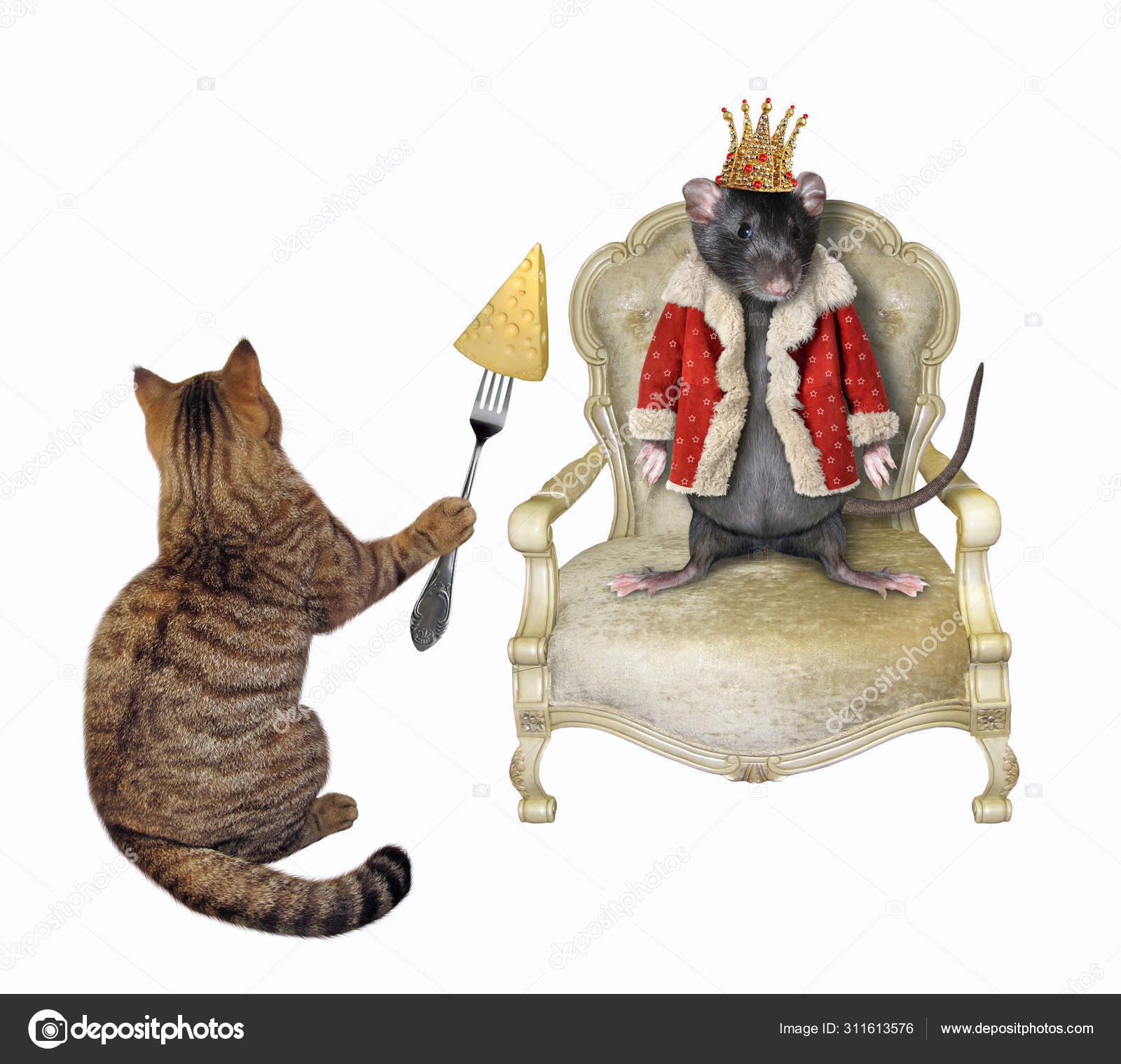 Cat feeds rat king with cheese Stock Photo by ©Iridi 311613576