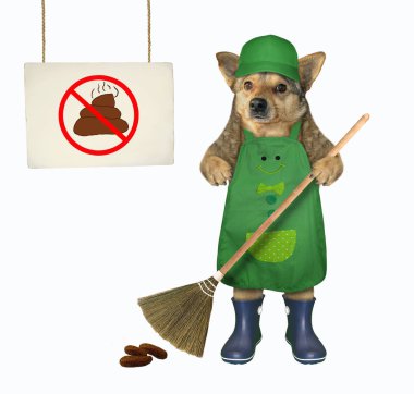 Köpek kakayı temizliyor.