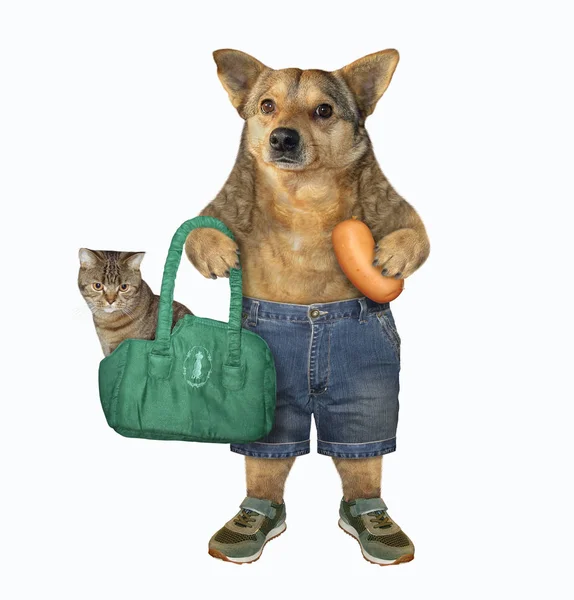Дод держит сумку с котом — стоковое фото