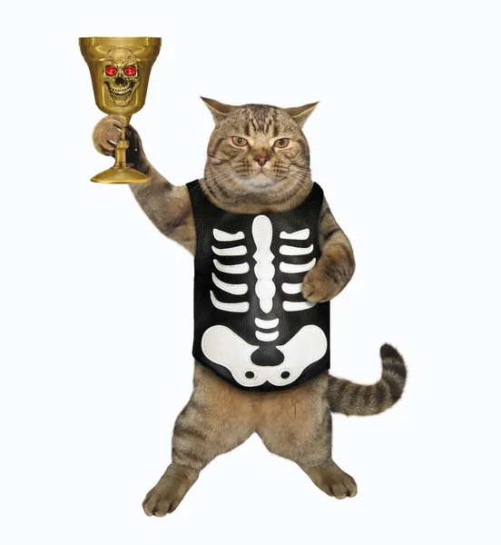 Кошка пьет волшебное зелье из кубка — стоковое фото