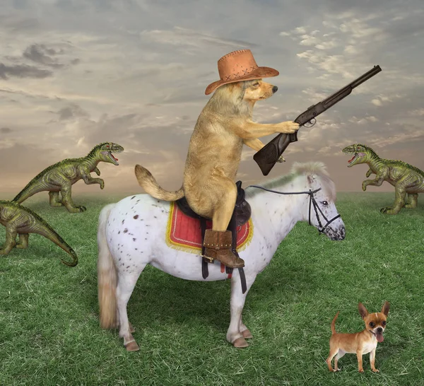 Hund auf weißem Pferd weidet Drachen — Stockfoto