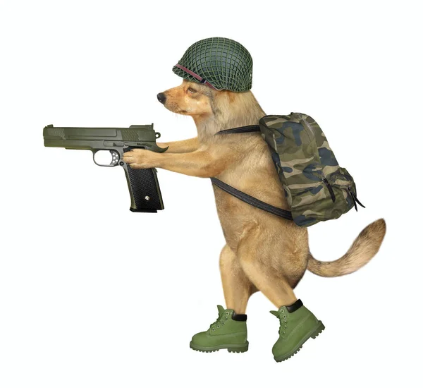 Dog soldado segura uma arma 2 — Fotografia de Stock