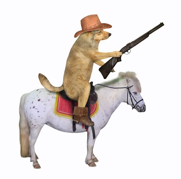 Hund Cowboy auf dem weißen Pferd — Stockfoto