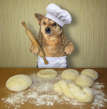 Köpek fırıncısı ekmek pişiriyor.