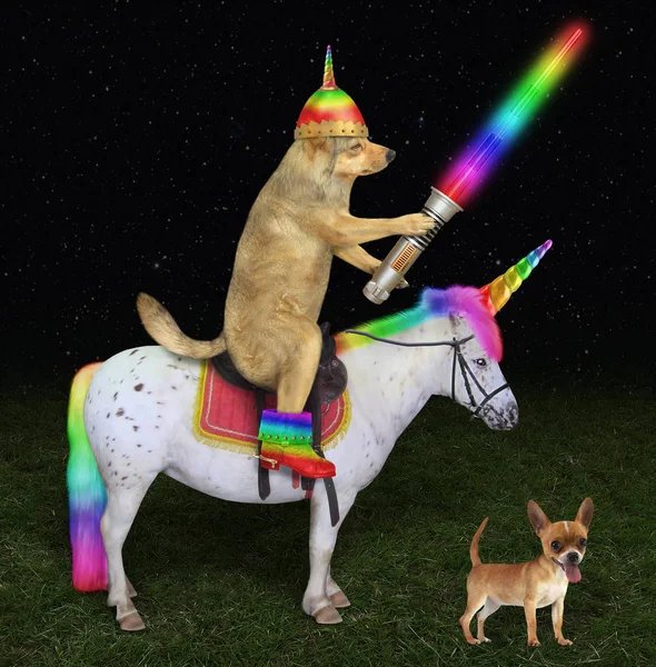 Dog alien rides the unicorn on meadow — Stock Photo, Image