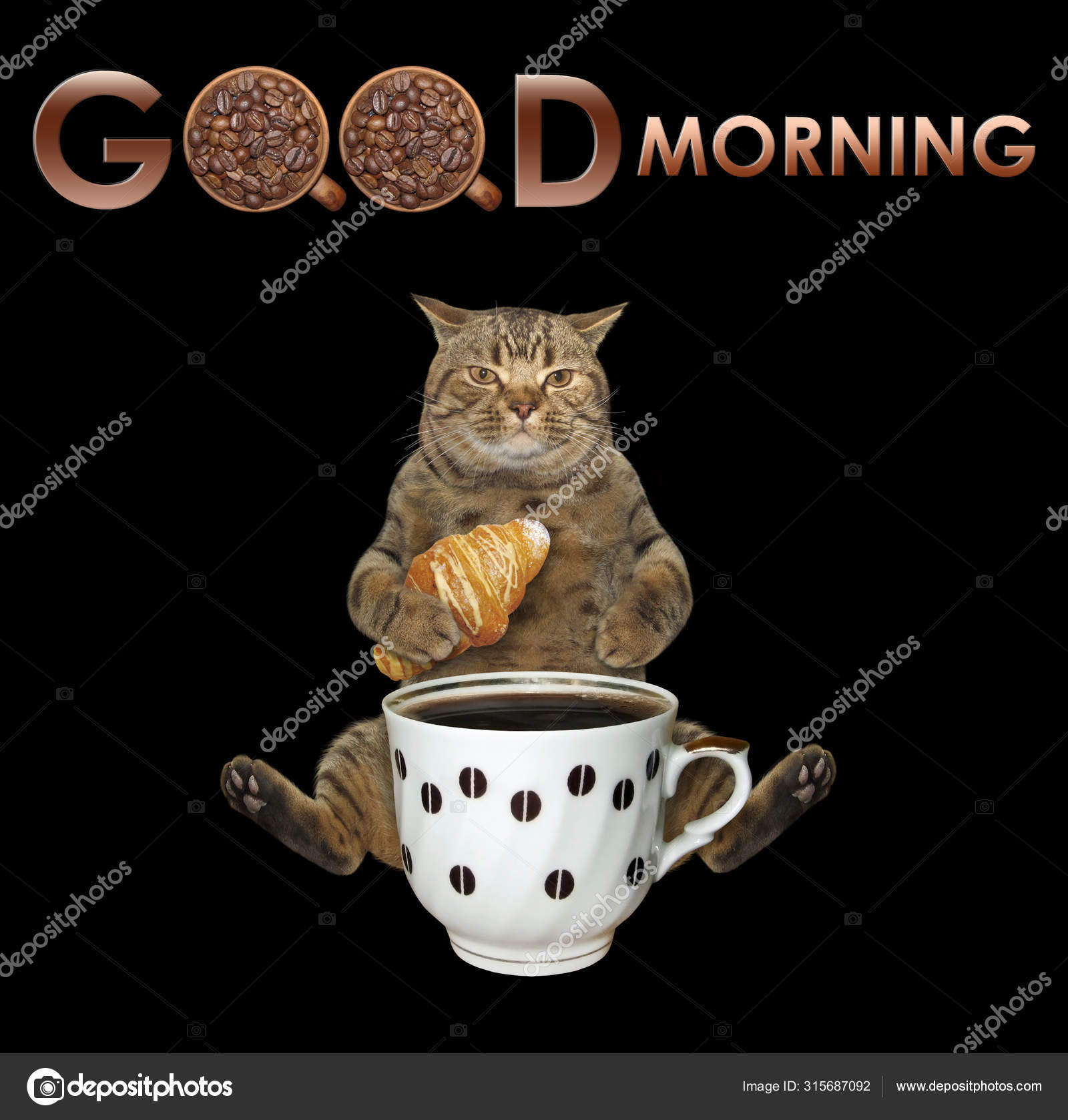 Fotos de Bom dia gato, Imagens de Bom dia gato sem royalties | Depositphotos Fotos de Bom dia gato, Imagens de Bom dia gato sem royalties | Depositphotos