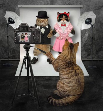 Kedi aşık çiftlerin fotoğrafını çeker.