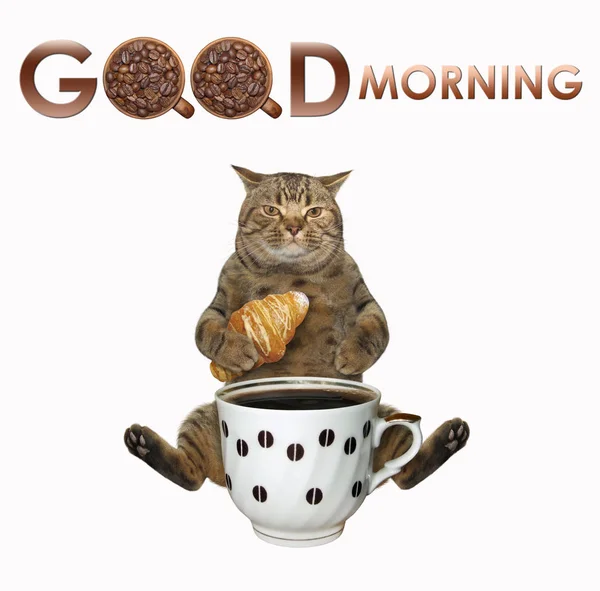 Kedi kruvasanla kahve içer. — Stok fotoğraf