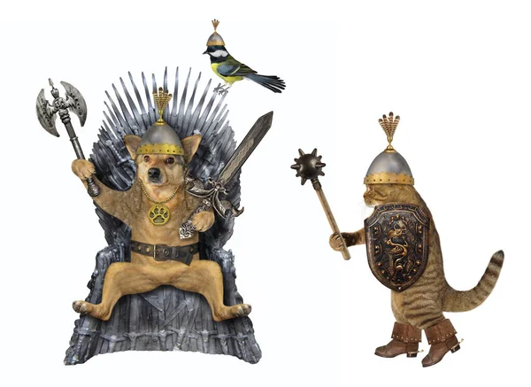The beige dog king in a steel belt and a helmet with an inlaid sword and an axe is sitting on an iron throne. His warriors are next to him. White background. Isolated.