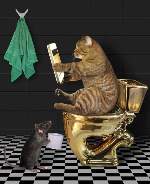 Gato Beige Con Teléfono Inteligente Está Sentado Inodoro Oro Baño — Foto de Stock