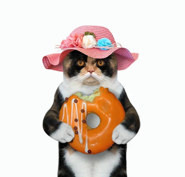 Wielokolorowy Kot Różowym Słomkowym Kapeluszu Trzyma Pomarańczowego Pączka Białe Tło — Zdjęcie stockowe