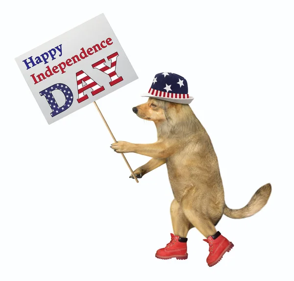 Beige Patriotic Dog American Hat Red Shoes Walking Sign Says — Stock Photo, Image