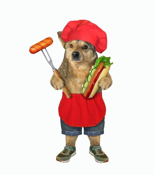 Beige Dog Red Cook Uniform Holding Hot Dog Fork Sausage — Stock Photo, Image