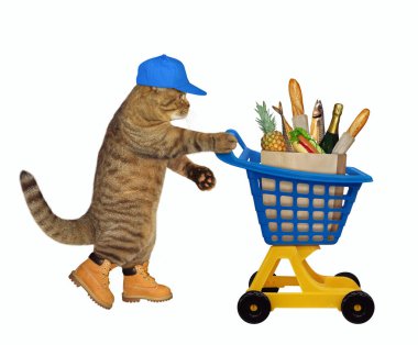 Bej kepli ve ayakkabılı kedi, çeşitli bakkaliyelerle dolu sarı mavi plastik bir alışveriş arabasını itiyor. Beyaz arka plan. İzole edilmiş.