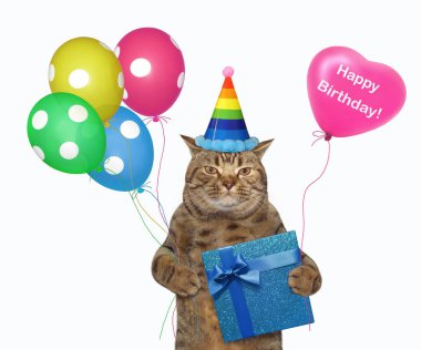 Doğum günü şapkalı bej kedi mavi bir hediye kutusu ve çok renkli balonlar tutuyor. Beyaz arka plan. İzole edilmiş.