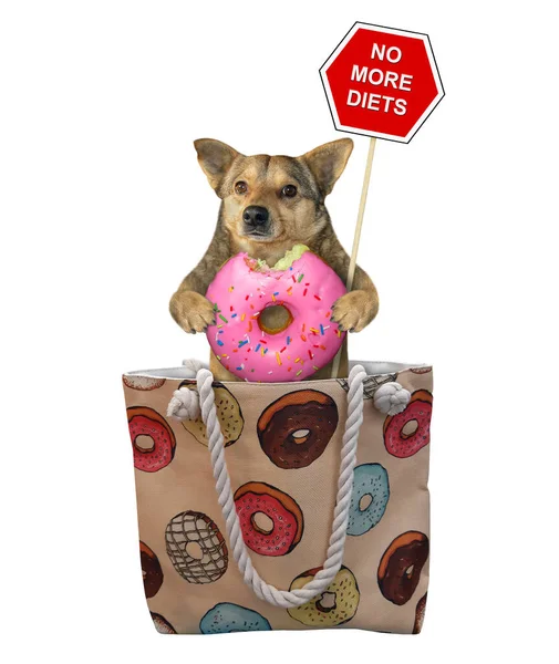 Beige Hond Met Een Roze Gebeten Donut Een Bord Dat — Stockfoto