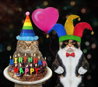 İki kedi, üzerinde çok renkli yanan mumlar olan bir bayram çikolatalı pastası taşıyor. İyi ki doğdun Koyu arkaplan.