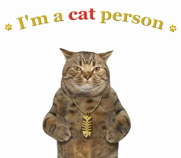 Béžová Kočka Zlatý Přívěšek Rybí Kosti Jsem Kočičí Typ Bílé — Stock fotografie