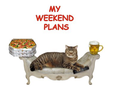 Bej renkli kedi şık gri bir kanepede yatıyor. Yanında bir televizyon kumandası, bir kupa light bira ve bir kutu pizza var. Hafta sonu planlarım. Beyaz arka plan. İzole edilmiş.