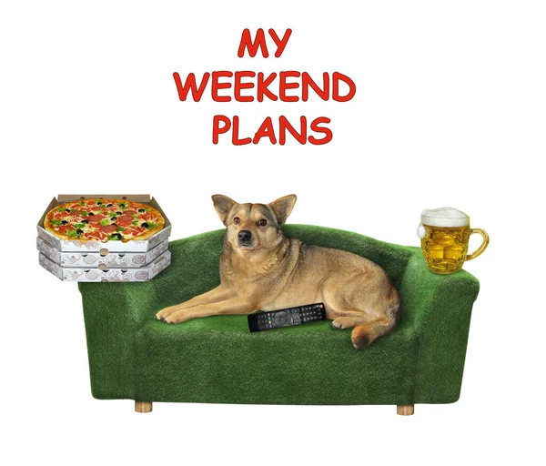 The beige dog is lying on a stylish green sofa. A tv remote control, a mug of light beer and a boxes with pizza are next to him. My weekend plans. White background. Isolated.