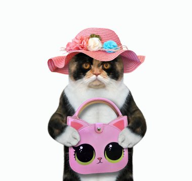 Hasır şapkalı çok renkli kedi pembe bir el çantası tutuyor. Beyaz arka plan. İzole edilmiş.