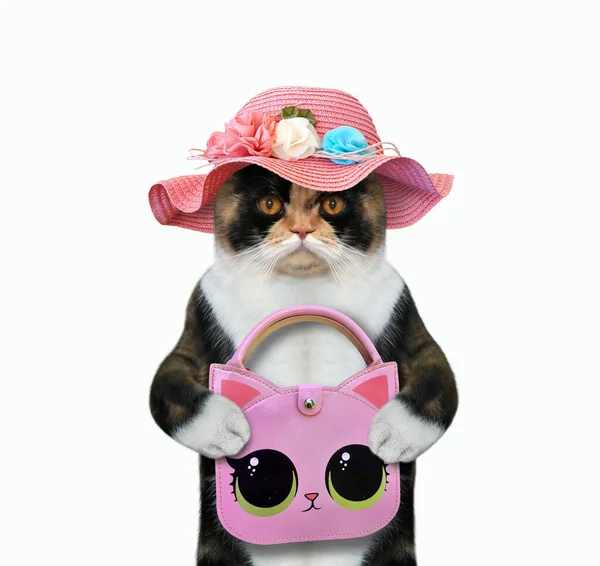 Multi Colored Cat Straw Hat Holding Pink Handbag White Background — Stock Photo, Image