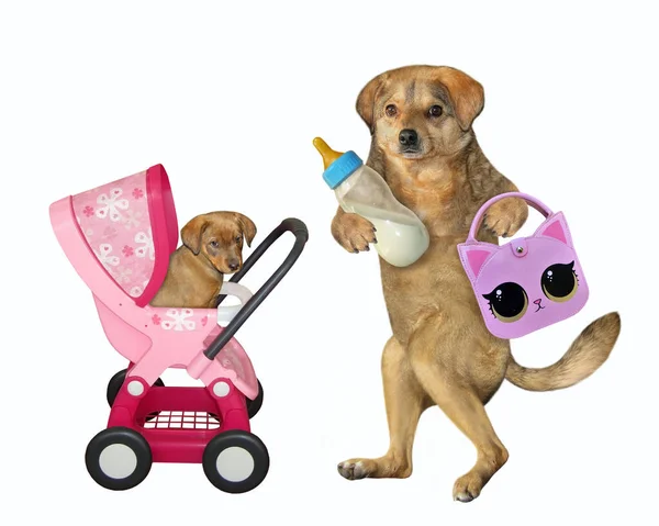 Beige Dog Walking Pink Stroller Its Puppy Bottle Milk Handbag Stock Image