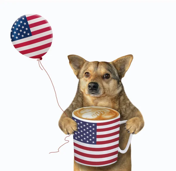 米色的狗爱国者拿着一大杯咖啡和一个印有美国国旗图案的气球 白色背景 被隔离了 — 图库照片