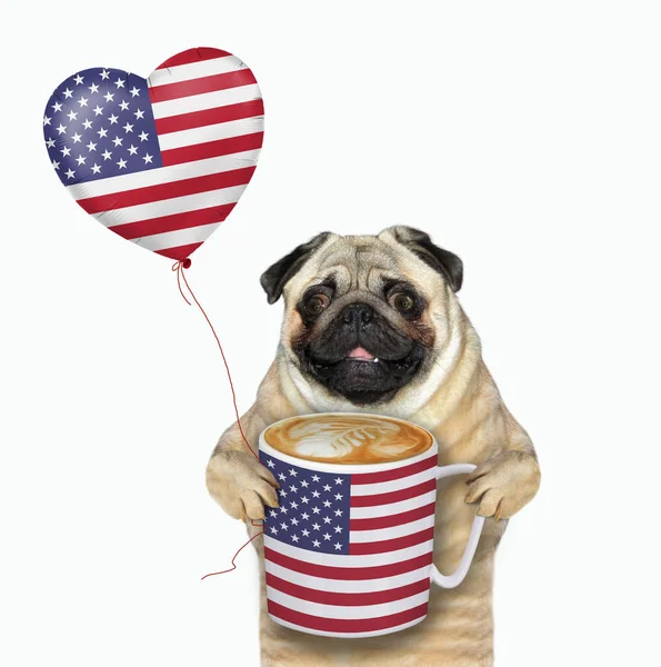 米色的哈巴狗爱国者拿着一大杯咖啡和一个印有美国国旗图案的心形气球 白色背景 被隔离了 — 图库照片