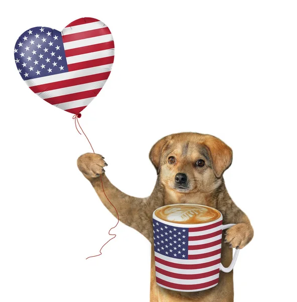 米色的狗爱国者拿着一大杯咖啡和一个印有美国国旗图案的心形气球 白色背景 被隔离了 — 图库照片