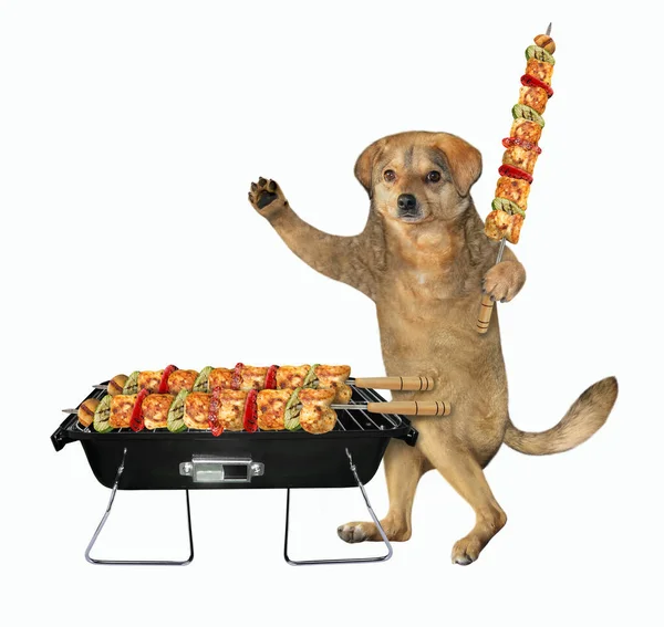 Cão Bege Está Grelhando Carne Espetos Aço Churrasco Fundo Branco — Fotografia de Stock