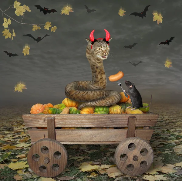 The beige cat snake with devil horns is sitting on an old horse wooden cart full of pumpkins in the autumn forest for Halloween. A black rat feeds the snake a sausage with a fork.