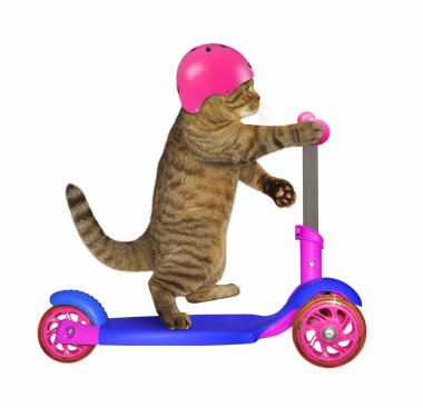 Pembe güvenli motosiklet kasklı bej kedi scooter kullanıyor. Beyaz arka plan. İzole edilmiş.