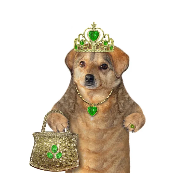 Beige Dog Queen Gold Crown Emerald Heart Shaped Pendant Holds — Stock Photo, Image