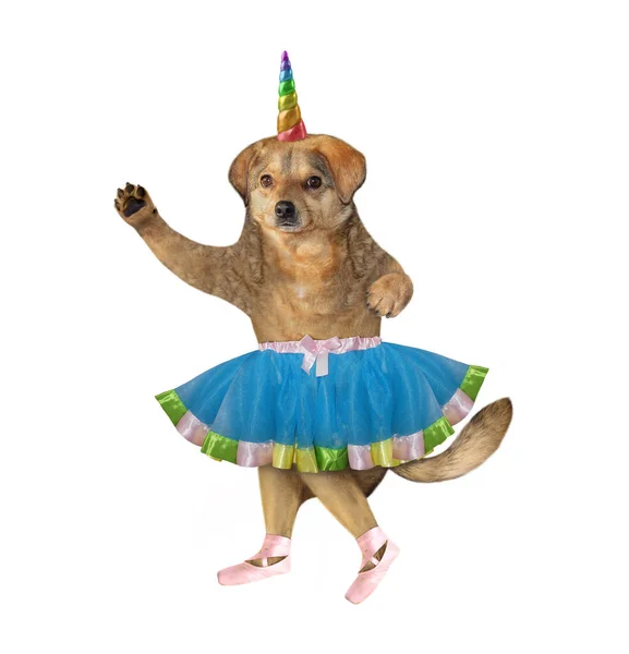 Danseuse Ballet Licorne Beige Pour Chien Habillée Une Jupe Bleue — Photo