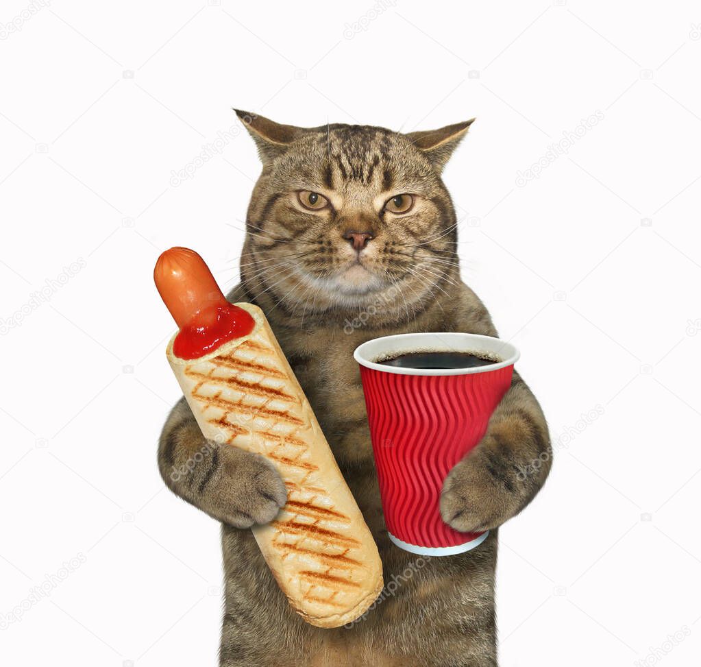 The beige cat is eating a hot dog and drinking coffee from a red paper cup. White background. Isolated.