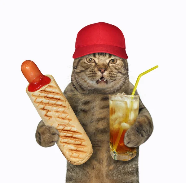 戴着红帽子的米色猫正在吃着热狗 喝着杯子里的冰果汁 白色背景 被隔离了 — 图库照片